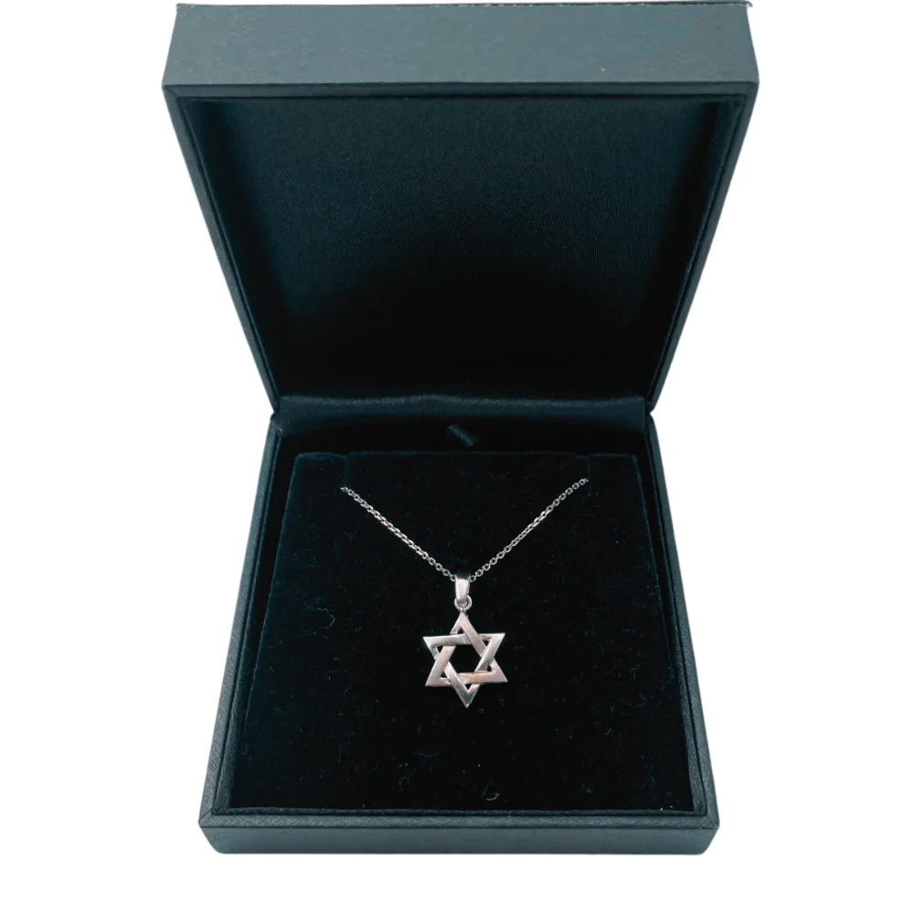 14K White Gold Brushed Star of David Pendant - Image 7