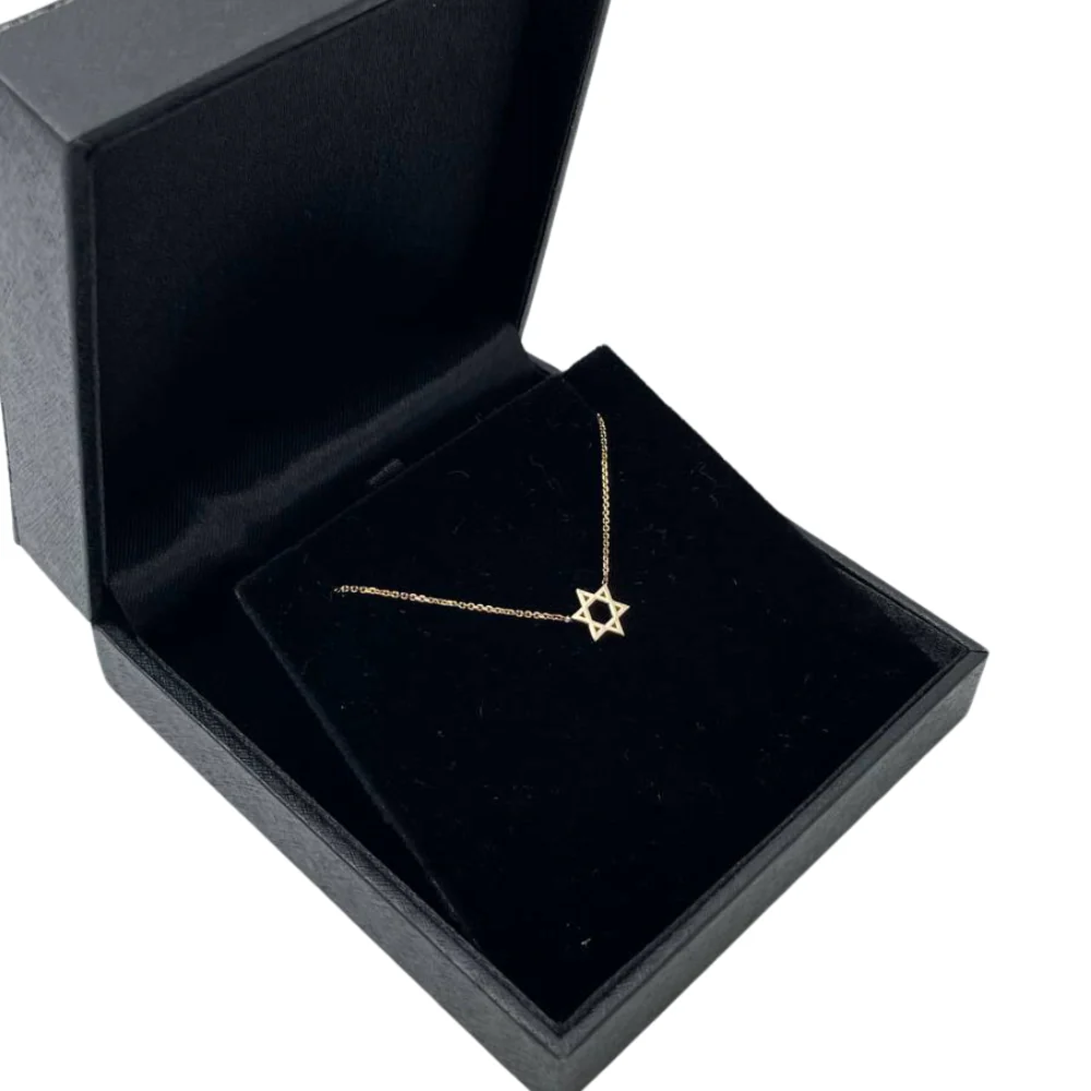 Star of David Linked Necklace in 14K Gold - Petite - Image 5