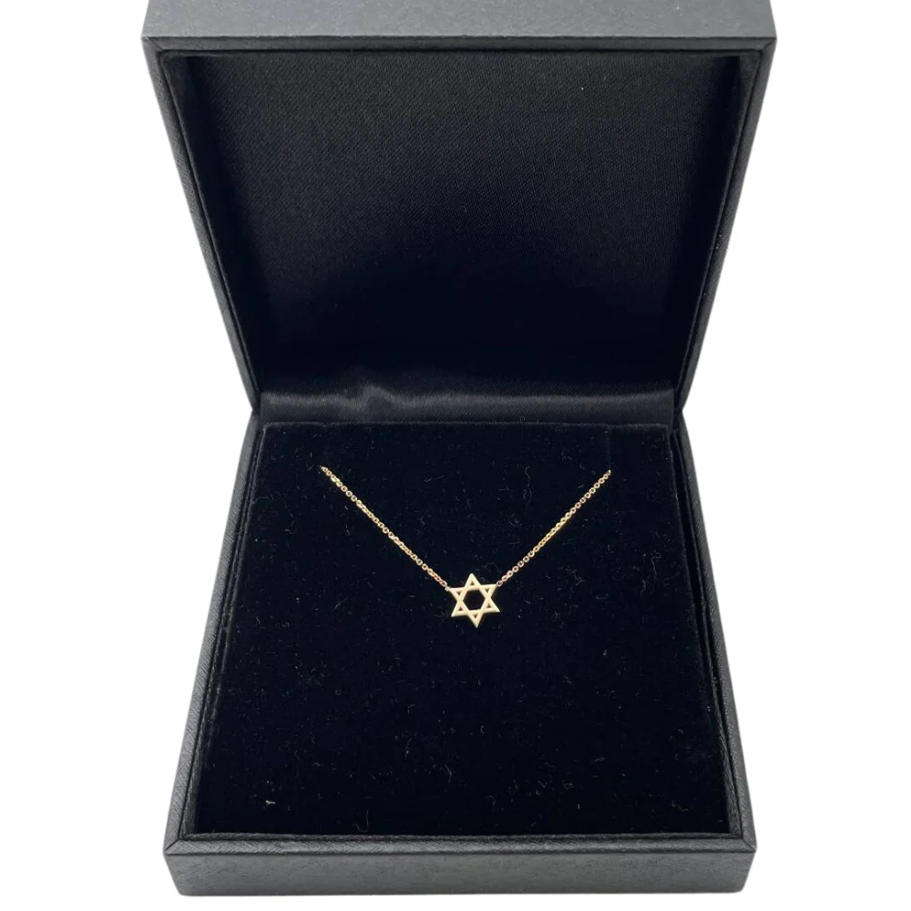 Star of David Linked Necklace in 14K Gold - Petite - Image 6