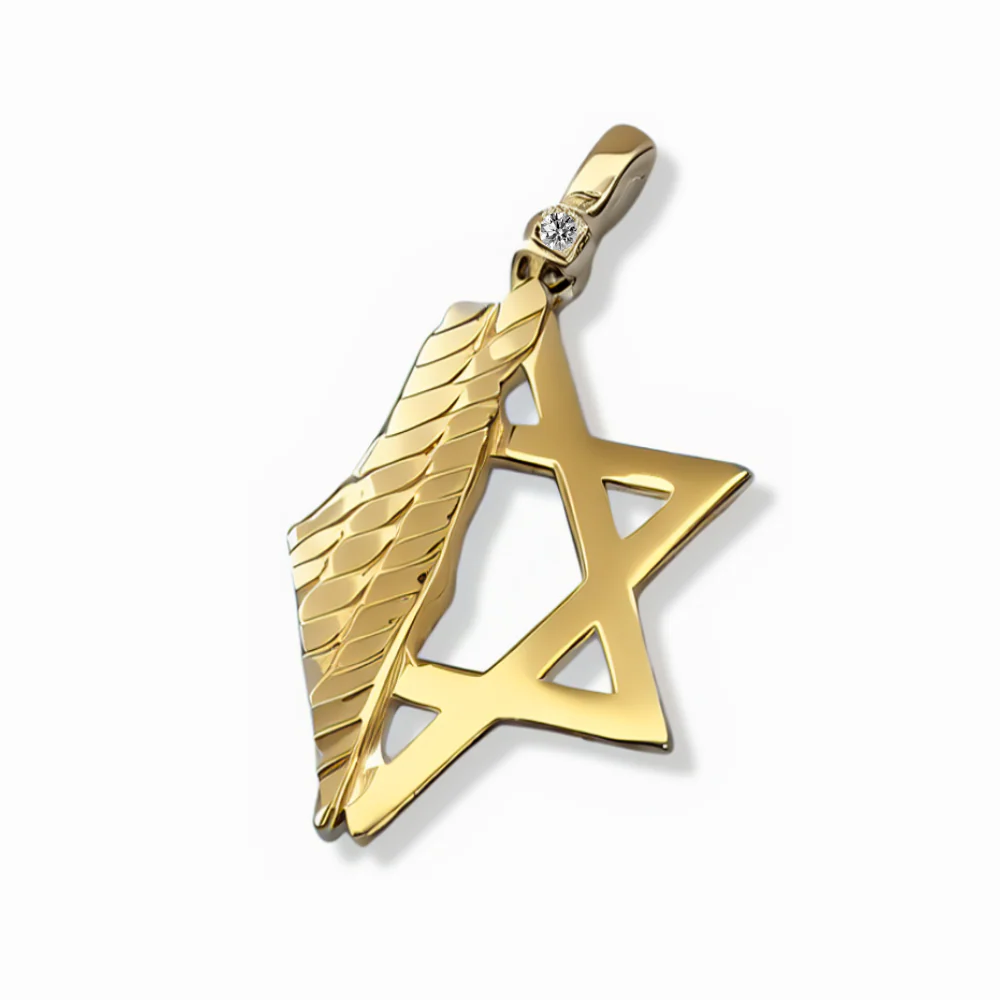 Star of David & Israel Map Pendant 14K Gold with Diamond Accent – Modern Jewish Symbol Necklace