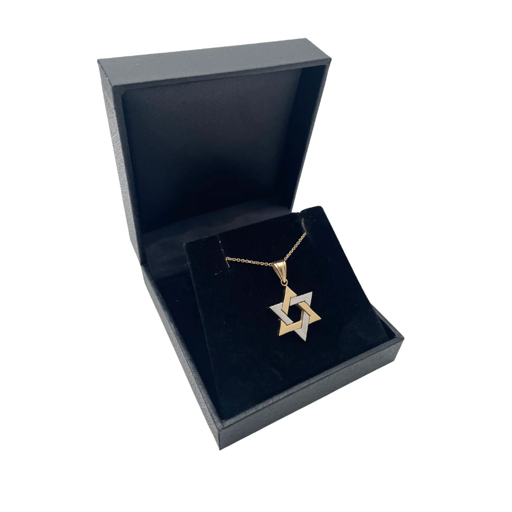 14K Two Tone Gold Thick Star of David Pendant - Image 5
