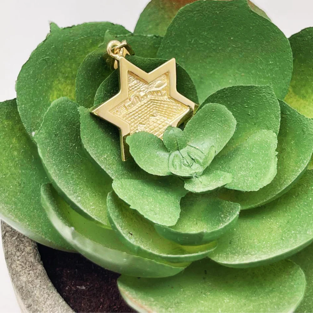3D Jerusalem Star of David Pendant 14k Gold - Image 8