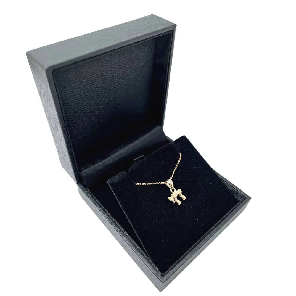 Chai Pendant in 14K Gold - Classic Mini Hai - Image 5