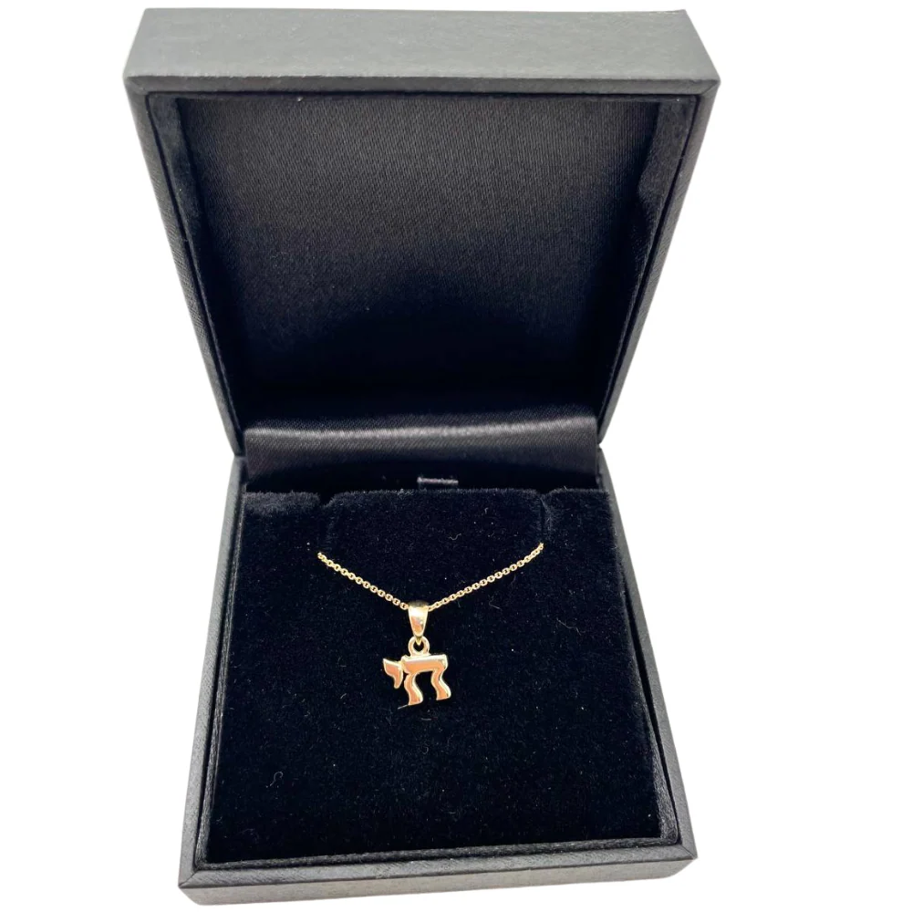 Chai Pendant in 14K Gold - Classic Mini Hai - Image 6