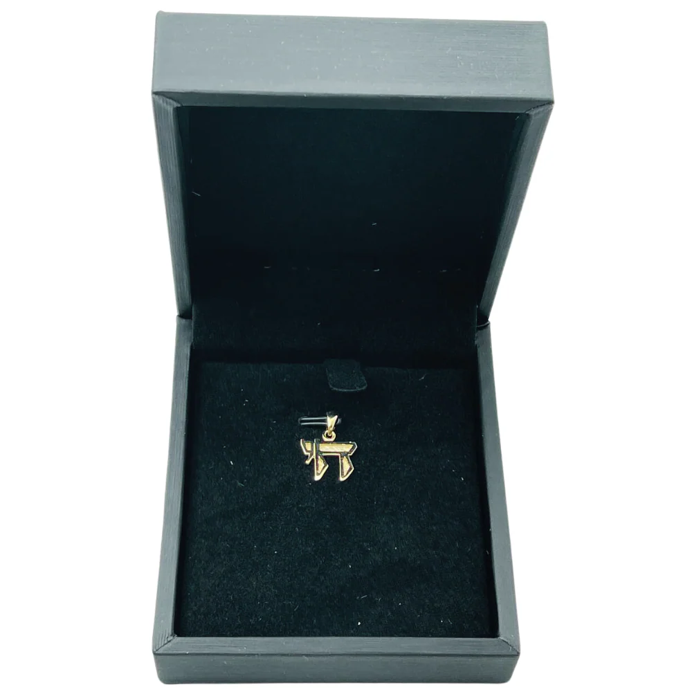 14K Gold Outlined Mini Chai Pendant - Image 7