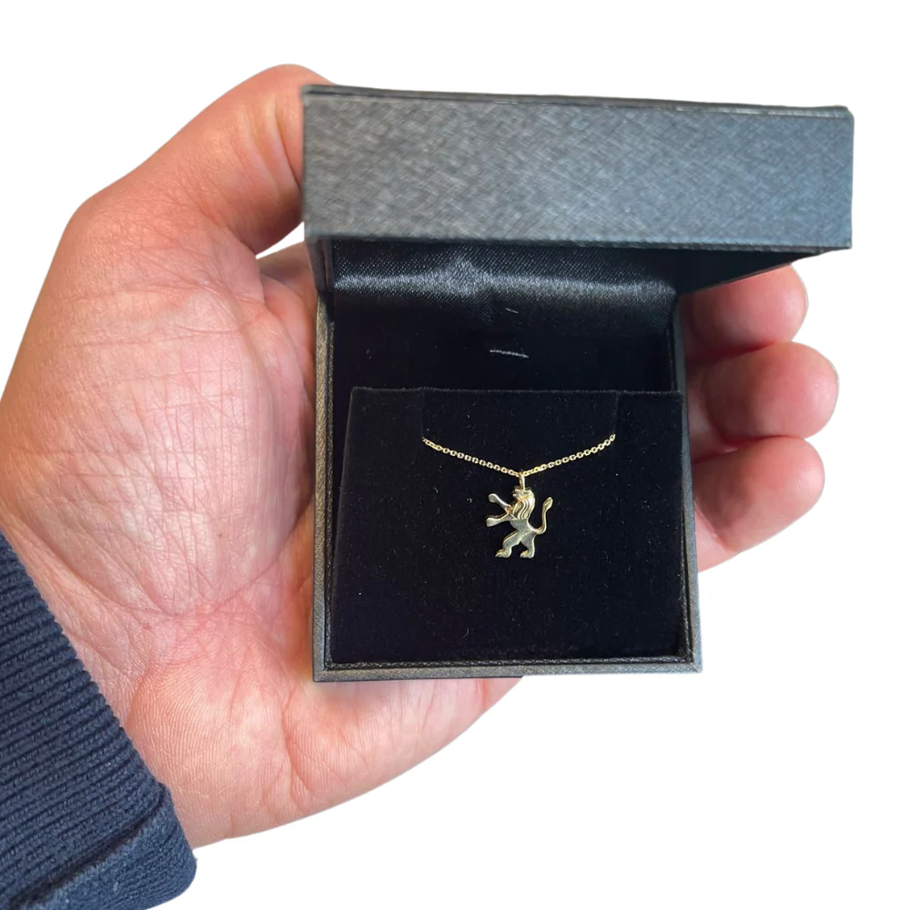 Tiny 14K Gold Tribe of Judah Lion Pendant - Image 4