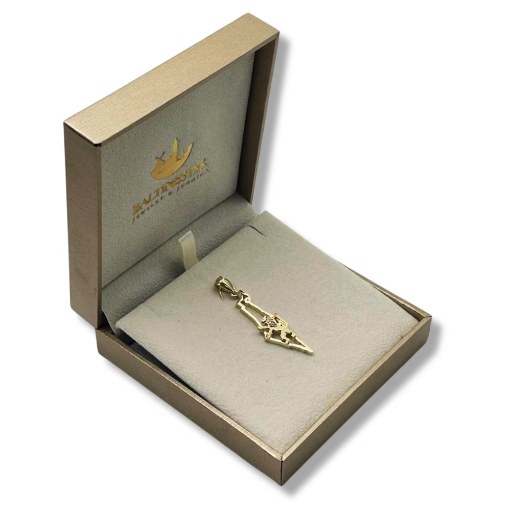 Map of Israel and Lion of Judah Pendant in 14K Gold - Image 5