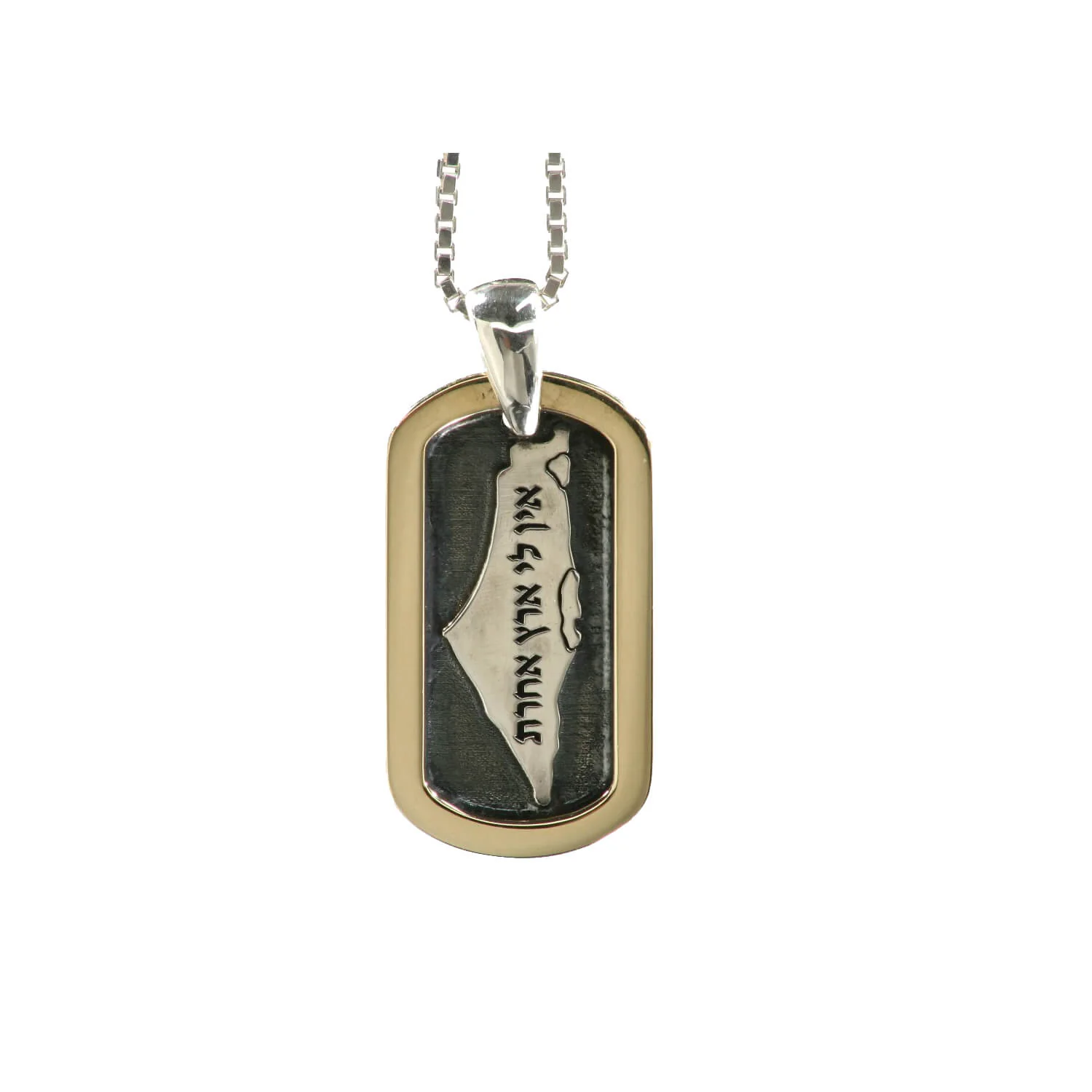 Silver and Gold Land of Israel Pendant and Chain