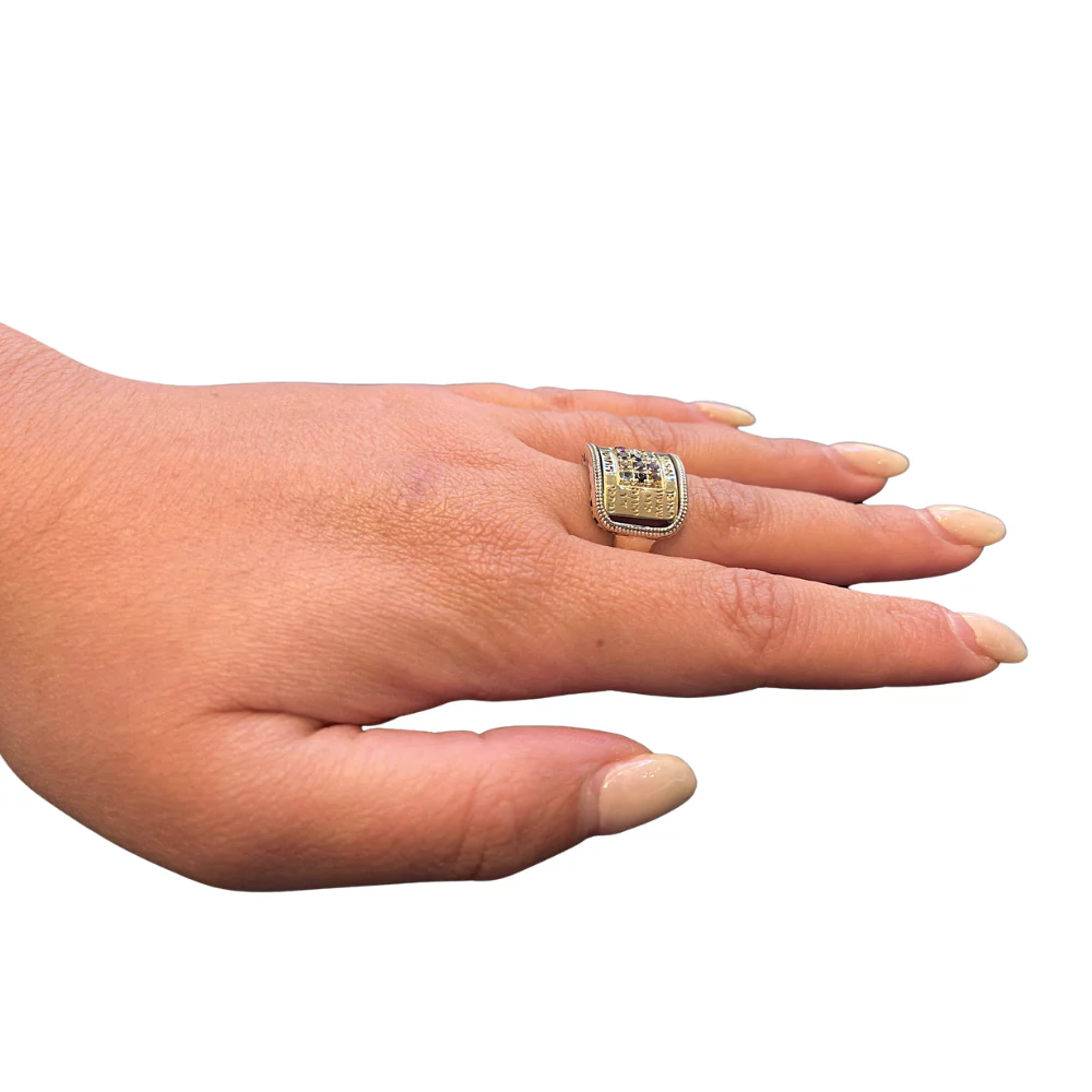12 Tribes Hoshen Ring in Silver and Gold - Image 4